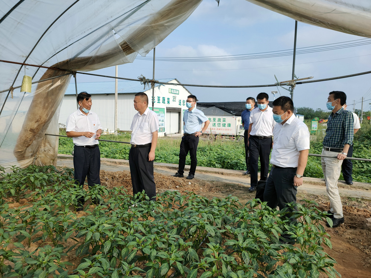 麻城市委書記汪國兵來公司基地調研指導工作